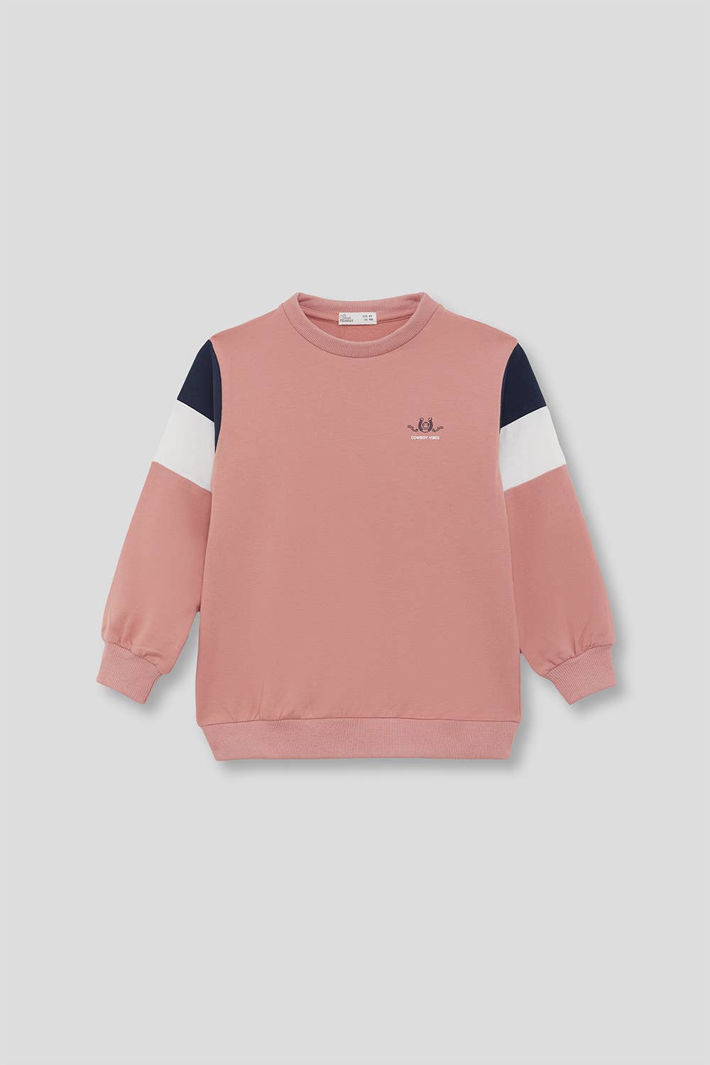 265021 - Boy's sweatshirt: Gooseberry / 10th